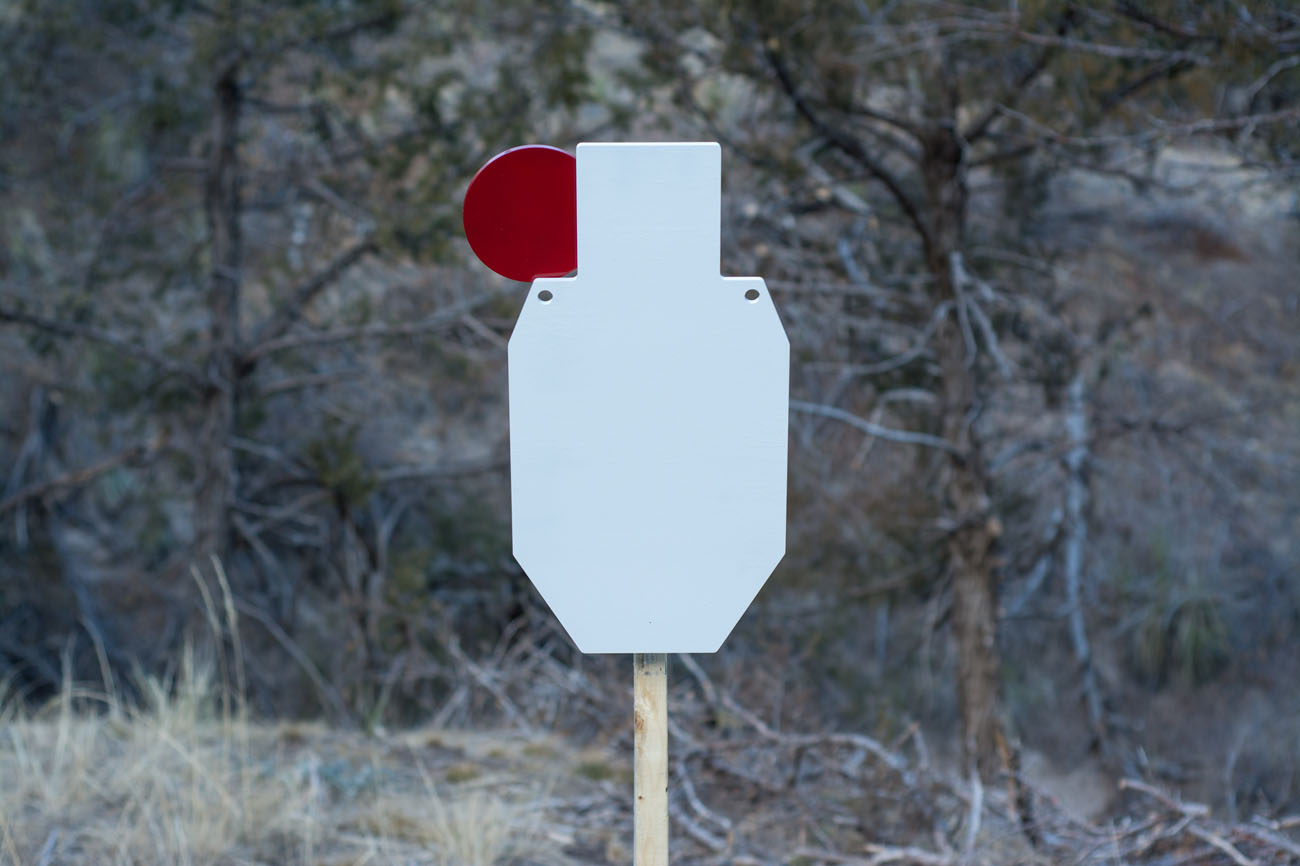 3/8" Hostage Torso Target - Image 6