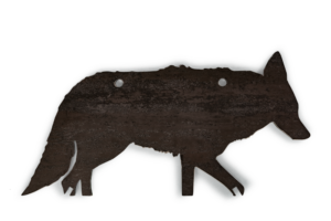 Coyote, 3/8"